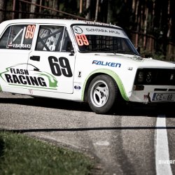 dzintara volga-4902